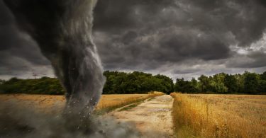 Tornado destroying landscape