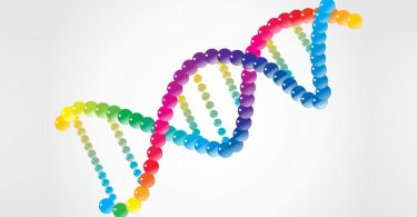 dna genome