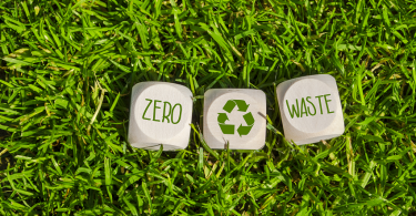 Sustainability circular economy