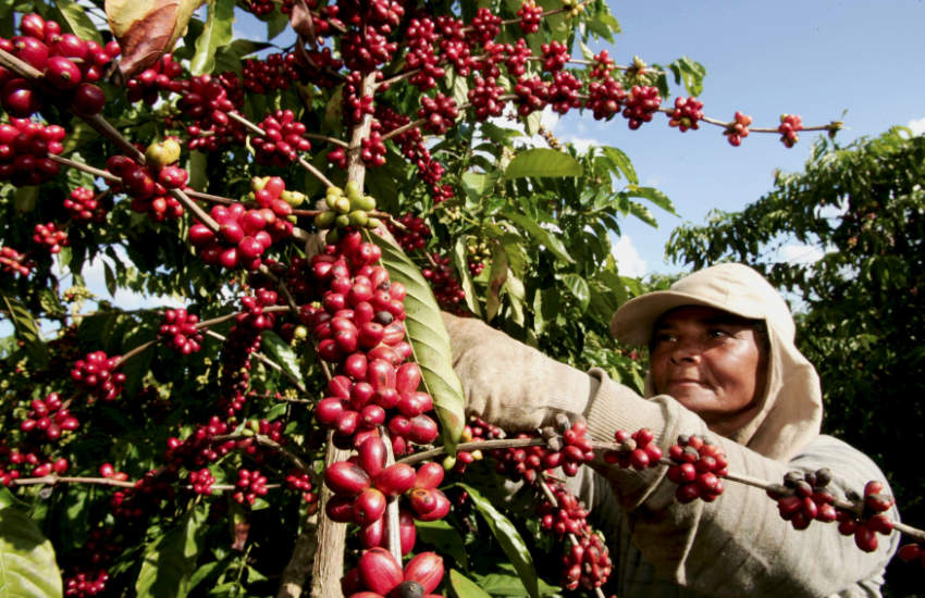 Brazil CBDC trials: farm lending explored by Digital Asset, Oliver Wyman, VERT - Ledger Insights - blockchain for enterprise