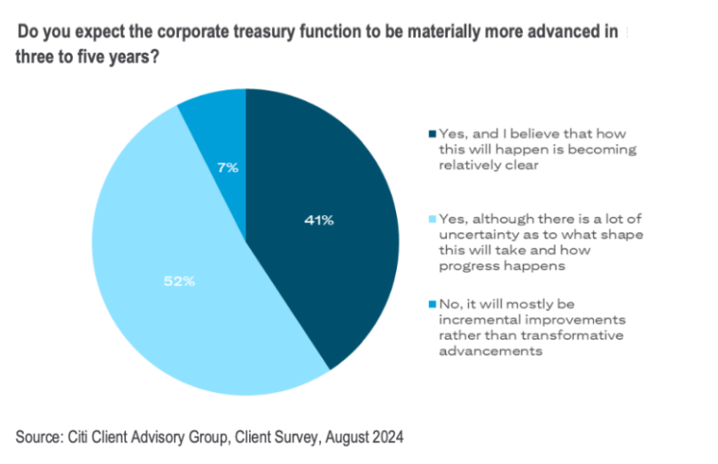 citi corporate treasury survey