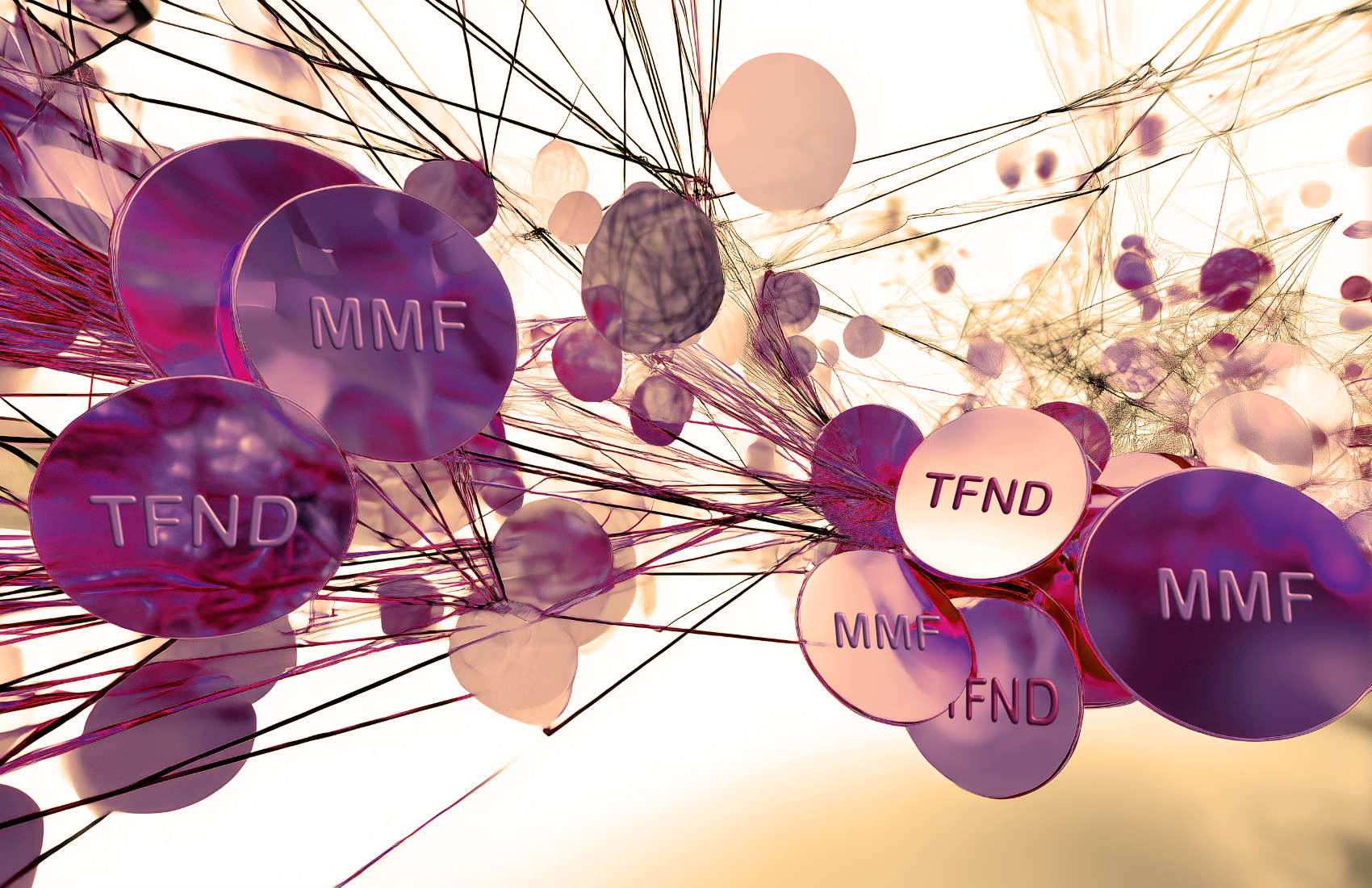 Lynq, the network that uses tokenized MMFs for settlement, has 30 members - Ledger Insights - blockchain for enterprise